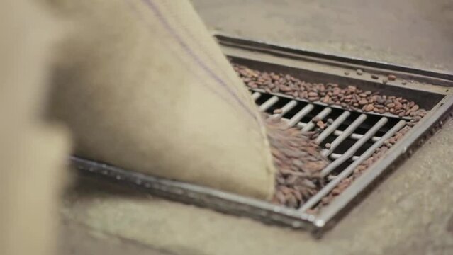 dolly close up shot of worker emptying a gunny sack full of unpeeled cocoa beans in a chocolate factory