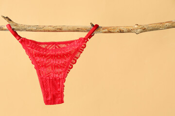 Stylish female panties hanging on tree branch against color background