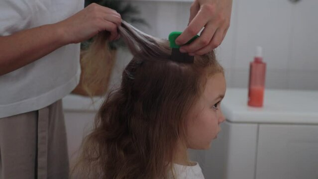 A woman helps to get rid of lice and parasites on the head of a little girl, combs her head with a special comb. Treatment of lice and nits. 
