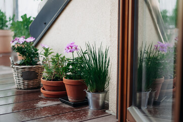 Attic terrace with wet decking and scattered plants reflected in a glass door.
