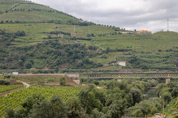 Vista da vila da Régua no Douro Portugal