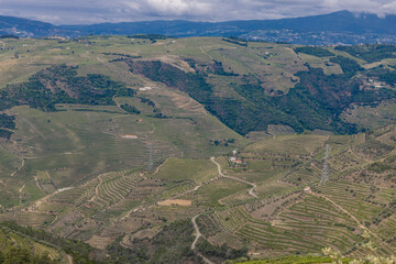 Vista da vila da Régua no Douro Portugal