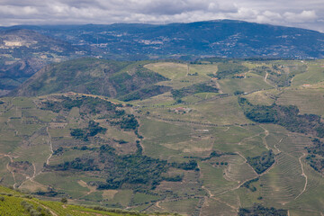 Vista da vila da Régua no Douro Portugal