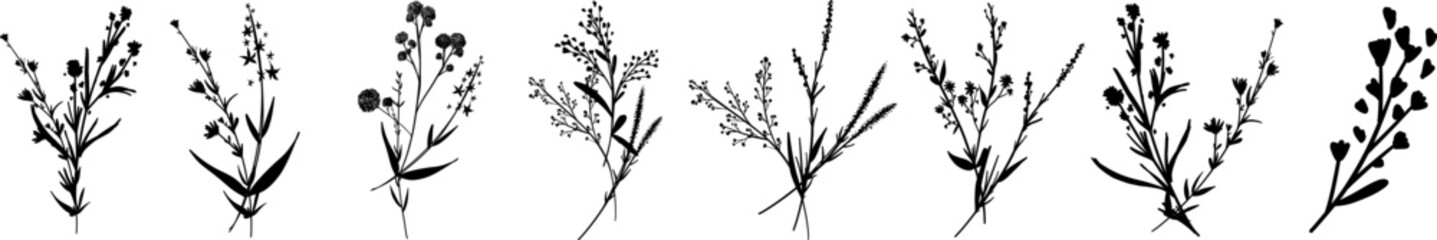 Silhouettes botanic blossom floral elements. Big set branches, leaves, herbs, wild plants, flowers. Garden, meadow, feild collection leaf, foliage. Vector illustration isolated on white background