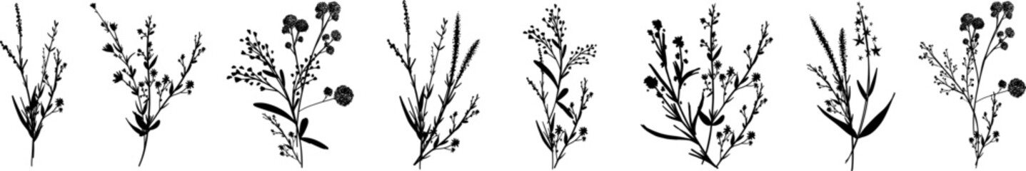 Silhouettes botanic blossom floral elements. Big set branches, leaves, herbs, wild plants, flowers. Garden, meadow, feild collection leaf, foliage. Vector illustration isolated on white background