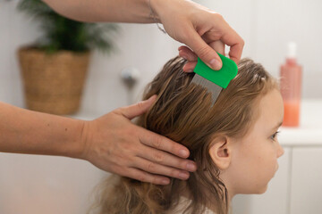 A woman helps to get rid of lice and parasites on the head of a little girl, combs her head with a special comb. Treatment of lice and nits - obrazy, fototapety, plakaty