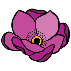 purple flower