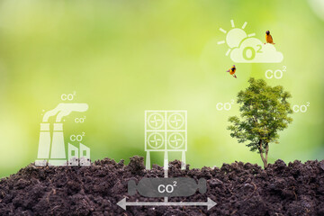 Capture carbon dioxide with capture devices and natural methods. Plants capture carbon dioxide and...