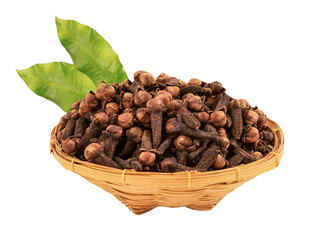 Clove or Syzygium aromaticum and green leaves on transparent background.