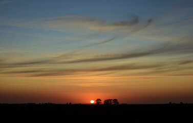 Rural sunset landscape, Buenos Aires province , Argentina