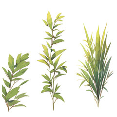Fototapeta premium Plant texture anime style, Illustration