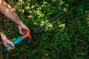 hedge formation.Garden tools and accessories.Plant pruning.Brush cutter in male hands on thuja...