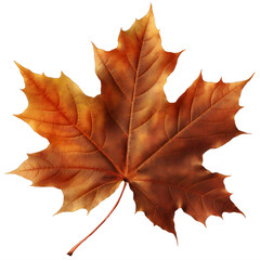 Fototapeta premium A maple orange autumn leaf on a transparent background png isolated Generative Ai