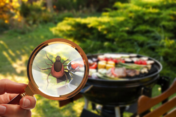 Seasonal hazard of outdoor recreation. Barbecue grill with food and woman showing tick with...