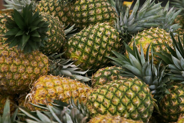 Heap of delicious ripe pineapples as background. Exotic fruit