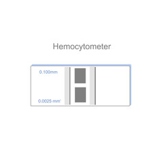 The hemocytometer for cell counting under microscope to science research.