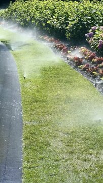 The water sprinkler in the public park watering the green grass on the outdoor lawn 4K, UHD, 2160 &times; 3840
