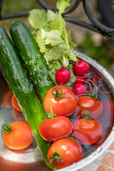 夏野菜　Summer vegetable