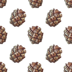 Watercolor seamless pattern hand-drawn realistic fir or pine cone on white background. Forest wallpaper for christmas celebration or invite. Nature art for card or textile. Wrapping or sketchbook