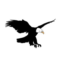 Eagle in the sky. Eagle in the sky silhouette. Black and white eagle illustration.