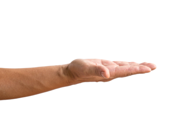 Side view of hand palm up. Isolated, transparent background.