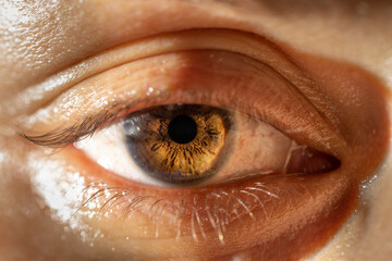 Female Brown Colored Eye With Long Lashes Close Up. Structural Anatomy. Human Iris Macro Detail.