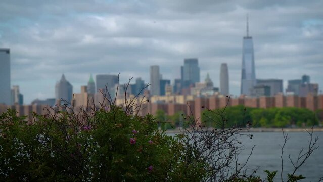 Freedom Tower in the background, flowering bushes in the foreground.  Shot from the Brooklyn side of the East River.  Beautiful shot for graphics, set up, or a creative image of downtown Manhattan.