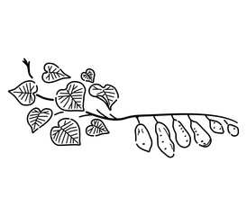 さつまいものつるのイラスト（線画）