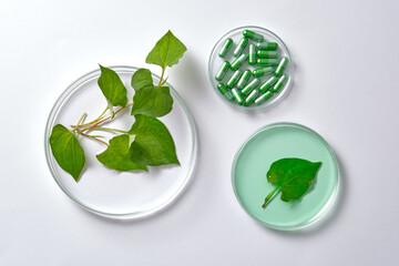 Against a white background, petri dishes containing fish mint leaves, capsules of vitamin and essence. Background for advertising cosmetic. Using fish mint to treat acne is a safe and natural