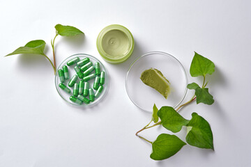 Background for advertising cosmetic with fish mint extract - fresh fish mint leaves, green jar and...