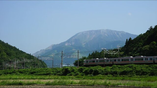 初夏の伊吹山麓を走る313系普通列車 （東海道本線 近江長岡 - 柏原, 2023年6月）