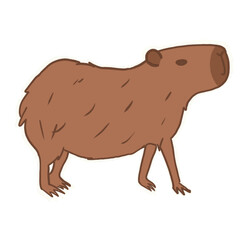 Capybara