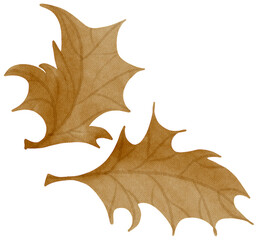 golden leaves dry leaves brown leaves for halloween