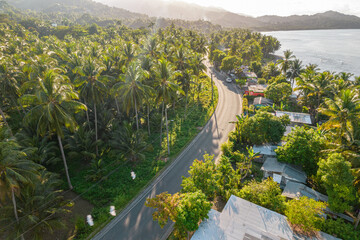 Aerial View of Country Road in Caribbean, surrounded by Coconut Trees. - obrazy, fototapety, plakaty