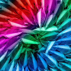 sharp edge colorful feathers pattern background using illustration art