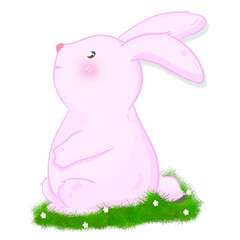 Rabbit bunny