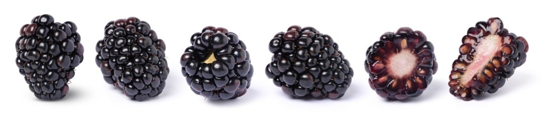 Blackberry fruit and half sliced isolated on white background. 