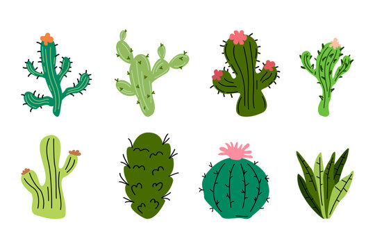 Vector Illustration.Set of Cacti,with Flower.Desert.Flowers.Doodle.Horizontal banner, green mexican,home cactus. Flat, cartoon style. Icon, Icons, Logo. on a white background. Design Elements.Print