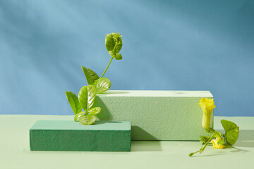 Two rectangular podiums with green leaves and yellow flower decorated on blue background. Pedestal for cosmetic product and packaging mockups display presentation. Front view - Powered by Adobe