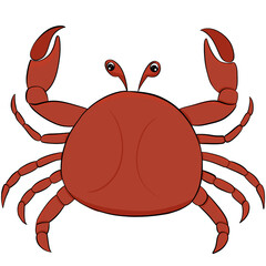 Crab