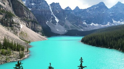 Drone revealing shot at Lake Moraine between tow long trees and flying bird, Banff national park, Alberta, Canada