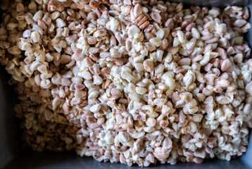 cocoa pods, beans and powder on wooden table