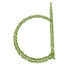 zeredao43 alphabet d 