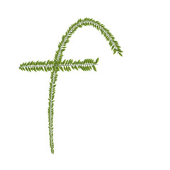 zeredao43 alphabet f