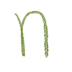 zeredao43 alphabet n