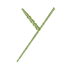 zeredao43 : alphabet y