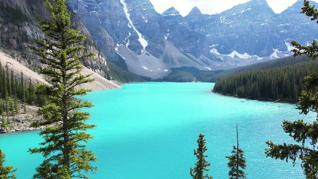 Drone revealing shot at Lake Moraine between tow long trees and flying bird, Banff national park, Alberta, Canada