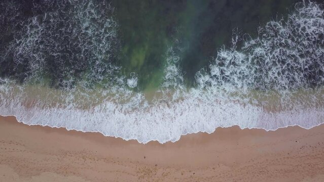 JBAY reef South Africa drone aerial Jeffreys Bay stunning early morning sunrise golden ocean surfer wave groundswell stunning coastline empty beach Africa dolphins near by looking down up movement