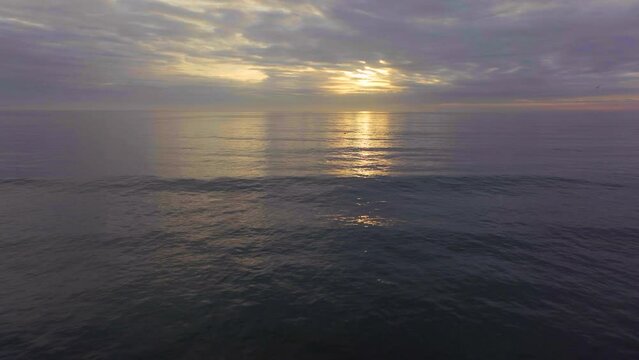 South Africa drone aerial cinematic dolphins pod swimming sunrise sunset early morning ocean surf waves JBAY Jefferys Bay Indian Ocean deep aqua blue water cloudy golden forward to sea movement