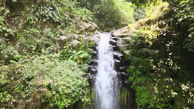 small waterfall in the benito juarez ecological reserve in los tuxtlas
